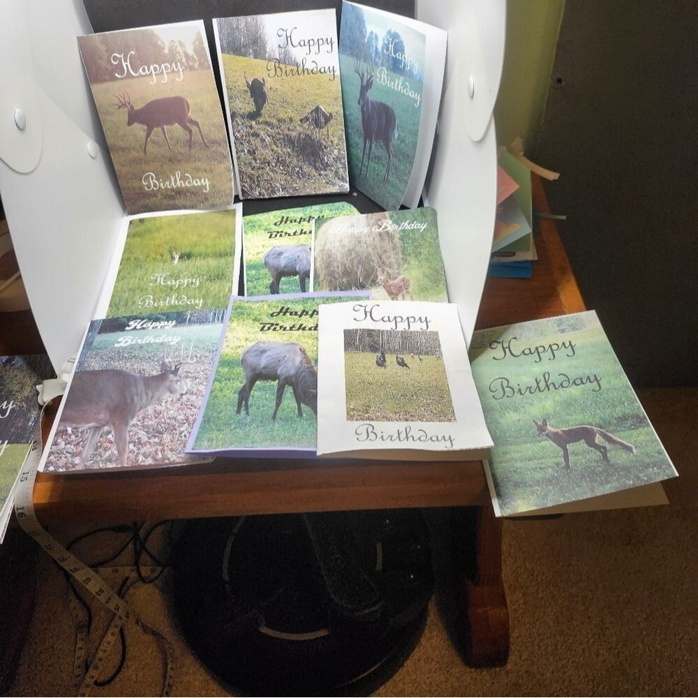 Hand Crafted Nature-Themed Birthday Cards Set Of 12 - Picture 2 of 8